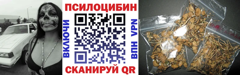 Галлюциногенные грибы Cubensis Россошь